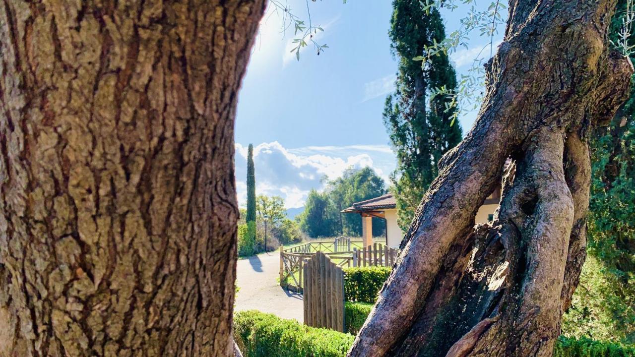 Casa In Maremma Tuscany Village Скарліно Екстер'єр фото
